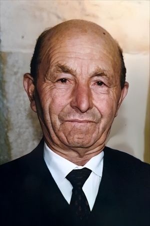 Necrologio di Alfonso Tarricone fu Antonio (AGRICOLTORE)