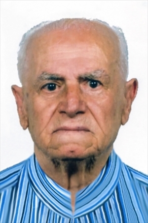 Necrologio di Domenico Balduccifu Savino (MURATORE)