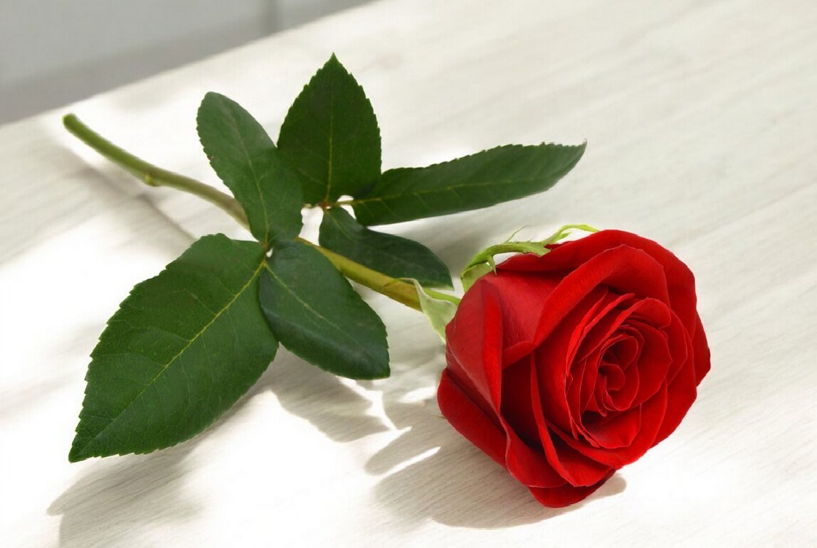 Necrologio di LAURA CAPANO