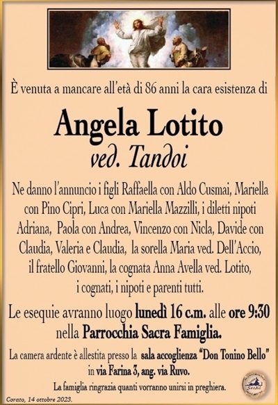 È venuta a mancare all’età di 86 anni la cara esistenza di
Angela Lotito
ved. Tandoi
Ne danno l’annuncio i figli Raffaella con Aldo Cusmai, Mariella con Pino Cipri, Luca con Mariella Mazzilli, i diletti nipoti Adriana, Paola con Andrea, Vincenzo con Nicla, Davide con Claudia, Valeria e Claudia, la sorella Maria ved. Dell’Accio, il fratello Giovanni, la cognata Anna Avella ved. Lotito, i cognati, i nipoti e parenti tutti.
Le esequie avranno luogo lunedì 16 c.m. alle ore 9:30 nella Parrocchia Sacra Famiglia.
La camera ardente è allestita presso la sala accoglienza “Don Tonino Bello” in via Farina 3, ang. via Ruvo.
La famiglia ringrazia quanti vorranno unirsi in preghiera.