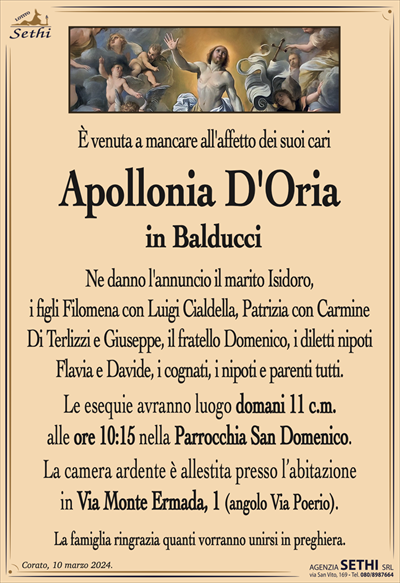 È venuta a mancare all’affetto dei suoi cari
Apollonia D’Oria
in Balducci
Ne danno l’annuncio il marito Isidoro,
i figli Filomena con Luigi Cialdella, Patrizia con Carmine
Di Terlizzi e Giuseppe, il fratello Domenico, i diletti nipoti Flavia e Davide, i cognati, i nipoti e parenti tutti.
Le esequie avranno luogo domani 11 c.m.
alle ore 10:15 nella Parrocchia San Domenico.
La camera ardente è allestita presso l’abitazione
in Via Monte Ermada, 1 (angolo Via Poerio).
La famiglia ringrazia quanti vorranno unirsi in preghiera.